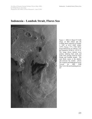 Indonesia - Lombok Strait, Flores Sea by Global Ocean Associates Prepared for the Office of Naval Research - Code 322PO