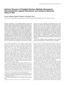 Intrinsic Neurons of Fastigial Nucleus Mediate Neurogenic Neuroprotection Against Excitotoxic and Ischemic Neuronal Injury in Rat