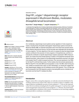 Dop1r1, a Type 1 Dopaminergic Receptor Expressed in Mushroom Bodies, Modulates Drosophila Larval Locomotion