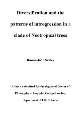 Diversification and the Patterns of Introgression in a Clade Of