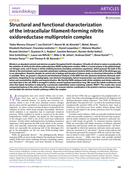 Structural and Functional Characterization of the Intracellular Filament-Forming Nitrite Oxidoreductase Multiprotein Complex
