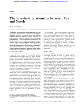 The Love–Hate Relationship Between Ras and Notch