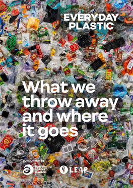 Everyday Plastic: What We Throw Away and Where It Goes