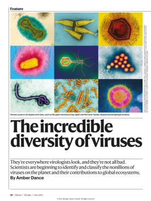The Incredible Diversity of Viruses