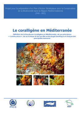 Le Coralligène En Méditerranée