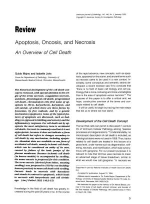 Review Apoptosis, Oncosis, and Necrosis an Overview of Cell Death