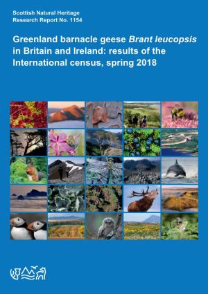 Greenland Barnacle Geese Brant Leucopsis in Britain and Ireland: Results of the International Census, Spring 2018