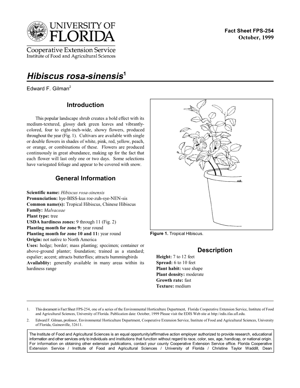 Hibiscus Rosa-Sinensis1