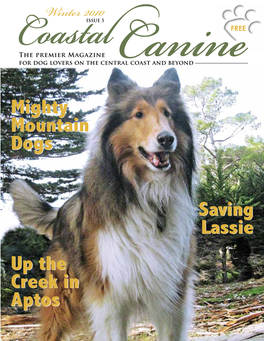 Mighty Mountain Dogs Saving Lassie Winter 2010 Issue 5 up the Creek