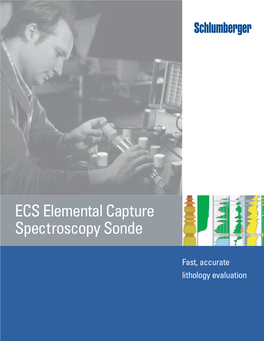ECS Elemental Capture Spectroscopy Sonde