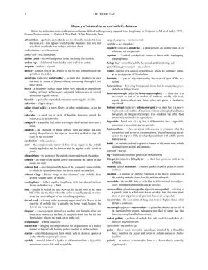 ORCHIDACEAE 2 Glossary of Botanical Terms Used in The