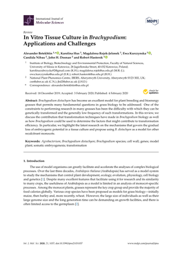 In Vitro Tissue Culture in Brachypodium: Applications and Challenges