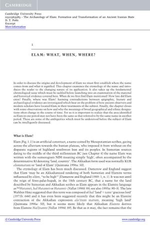 Elam: Formation and Transformation of an Ancient Iranian State D