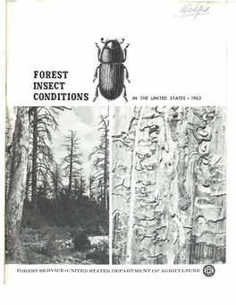 Forest Insect Conditions in the United St Ates , 1963