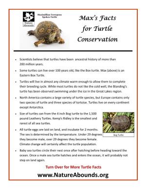 Turn Over for More Turtle Facts