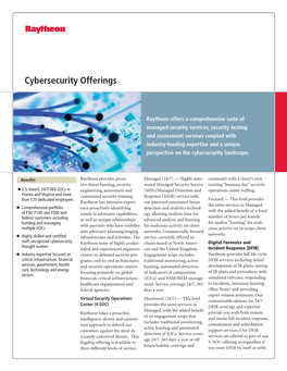 Cybersecurity Offerings