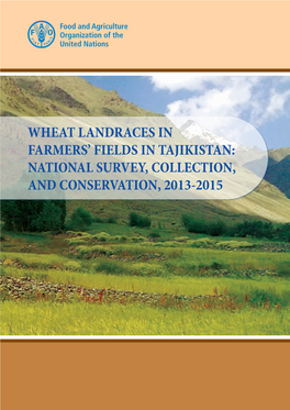 Wheat Landraces in Farmers' Fields in Tajikistan