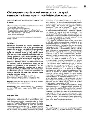 Chloroplasts Regulate Leaf Senescence: Delayed Senescence in Transgenic Ndhf-Defective Tobacco