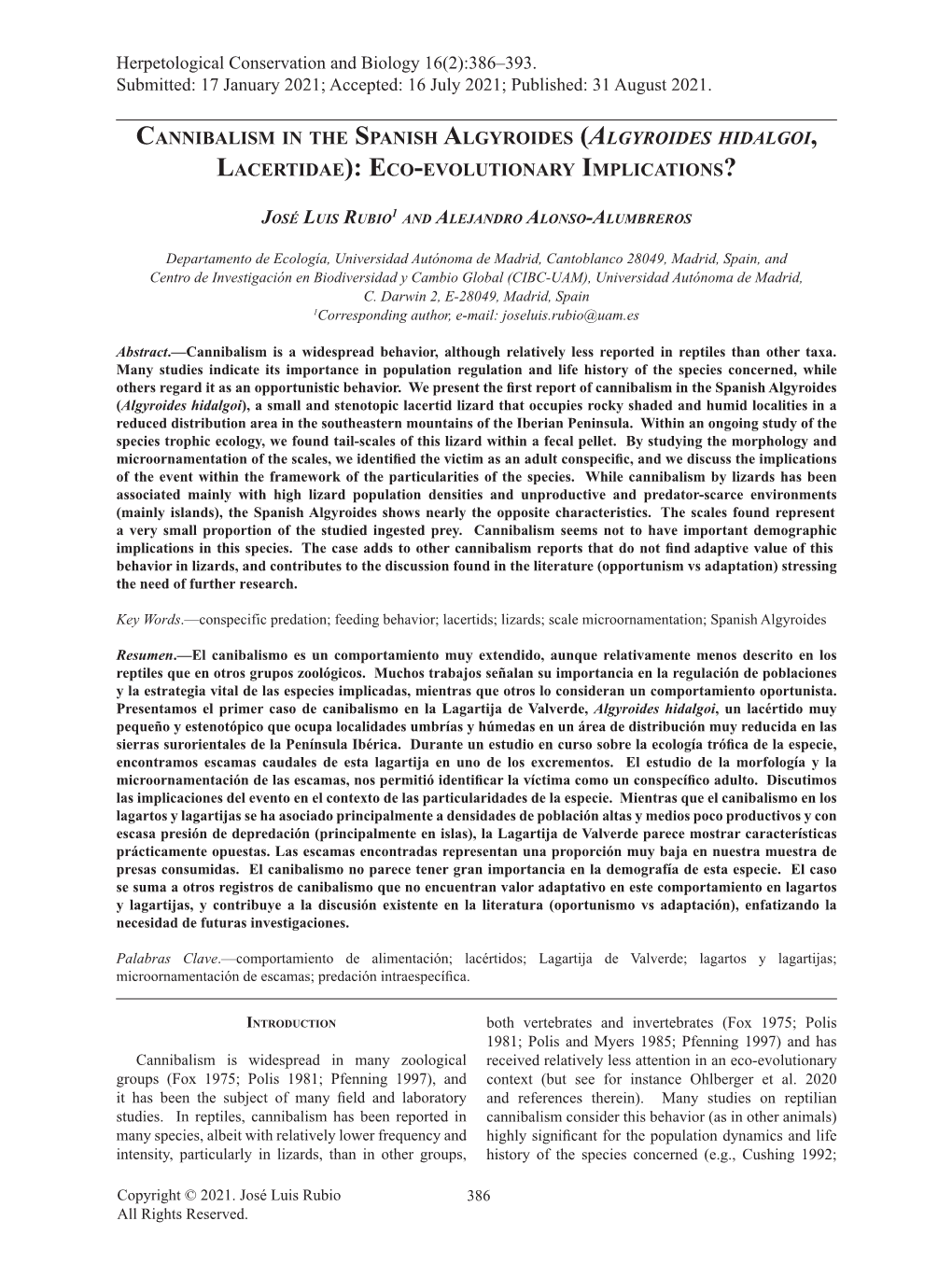 Cannibalism in the Spanish Algyroides (Algyroides Hidalgoi, Lacertidae): Eco-Evolutionary Implications?