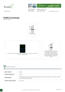 FKBP3 Antibody Cat