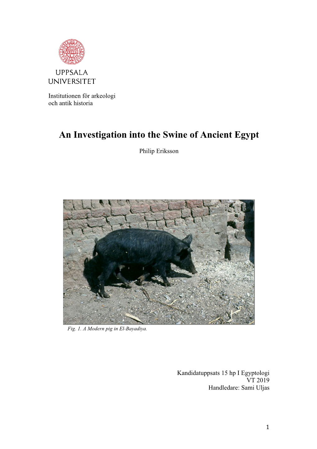 An Investigation Into the Swine of Ancient Egypt