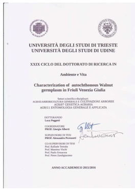 Characterization of Autochthonous Walnut Germplasm in Friuli