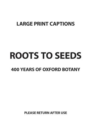 Roots to Seeds Exhibition Large Print Captions