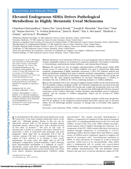 Elevated Endogenous SDHA Drives Pathological Metabolism in Highly Metastatic Uveal Melanoma
