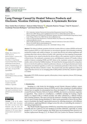 Lung Damage Caused by Heated Tobacco Products and Electronic Nicotine Delivery Systems: a Systematic Review
