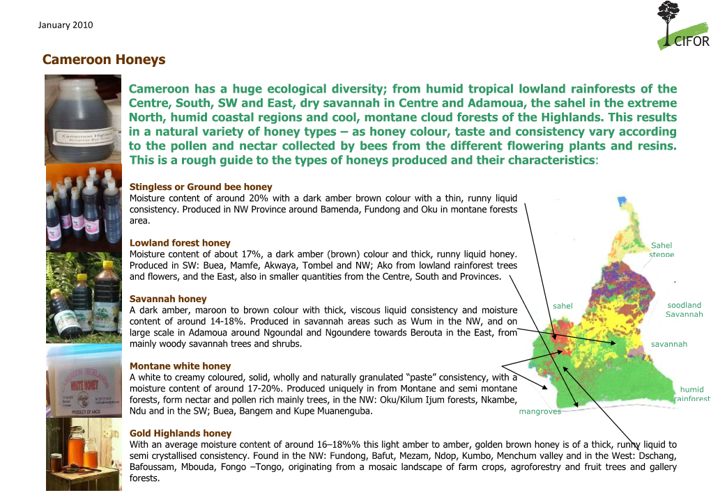 Cameroon Honeys