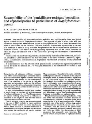 Penicillins and Cephalosporins to Penicillinase of Staphylococcus Aureus