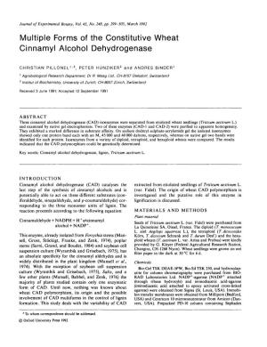 Multiple Forms of the Constitutive Wheat Cinnamyl Alcohol Dehydrogenase