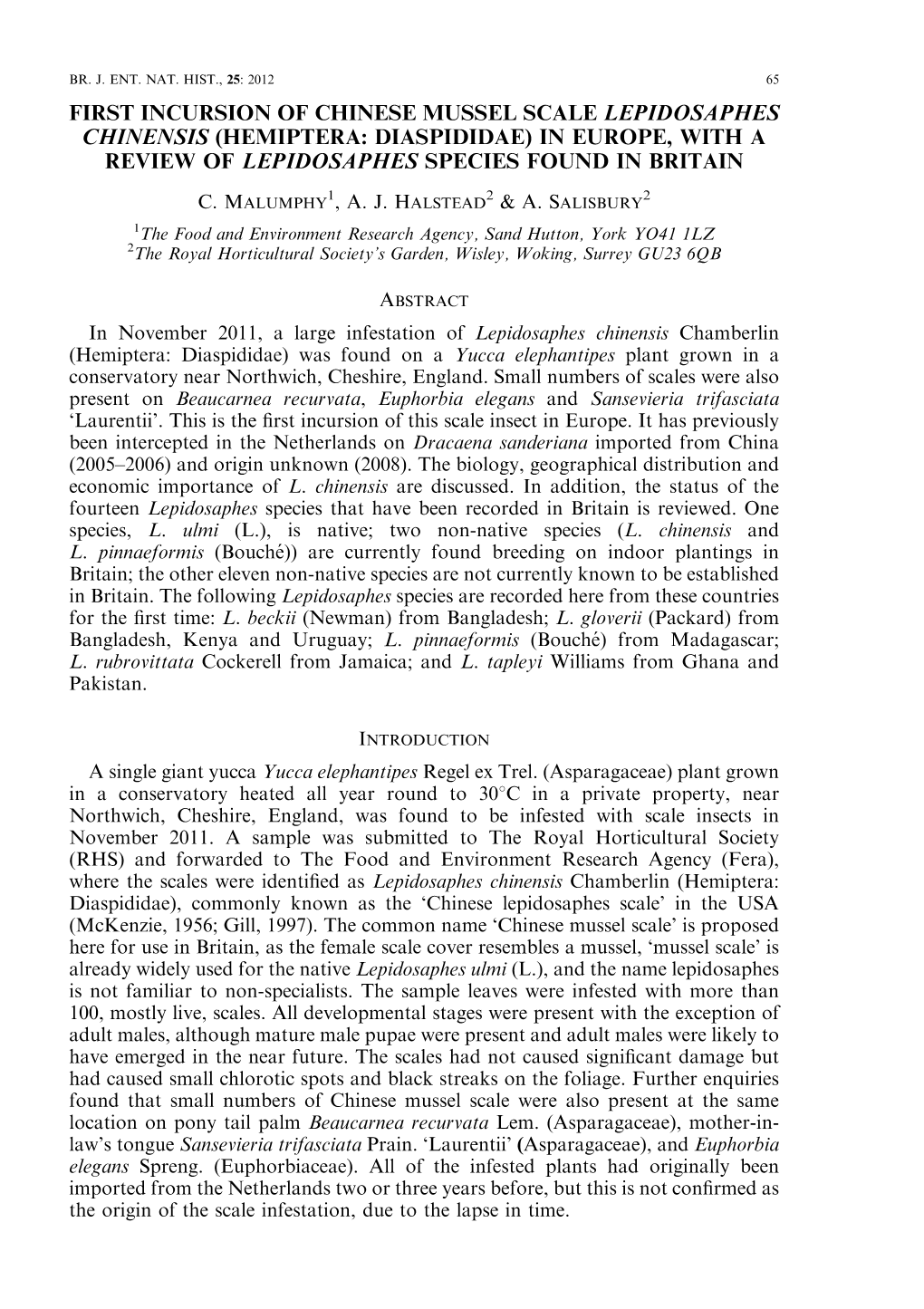 Read About the First Incursion of Chinese Mussel Scale in Europe