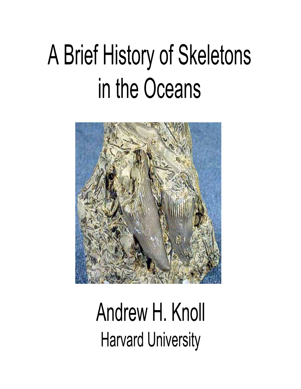 A Brief History of Skeletons in the Oceans