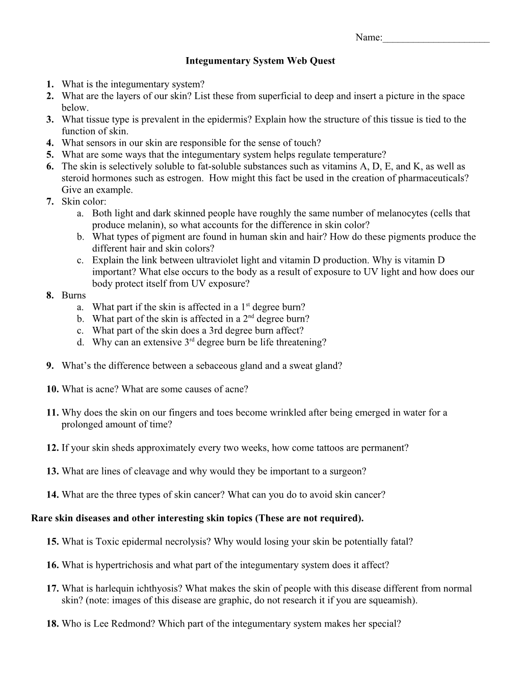 Integumentary System Web Quest