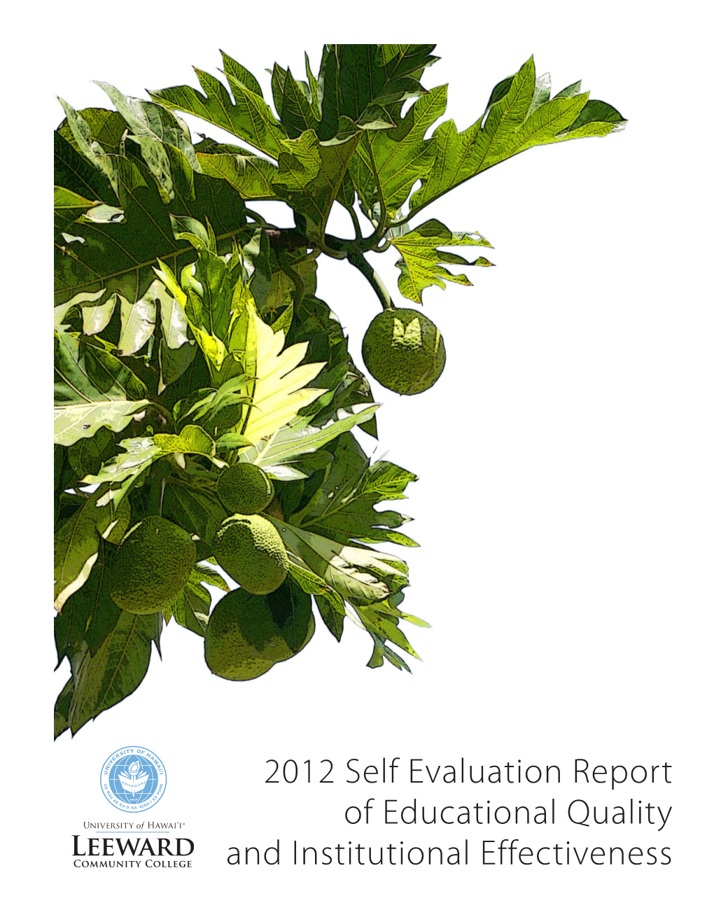 2012 Self Evaluation Report of Educational Quality and Institutional Effectiveness