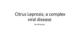 Citrus Leprosis; a Complex Viral Disease Ron Brlansky • Citrus Leprosis (CL) Is an Economically Important Viral Disease Affecting Citrus