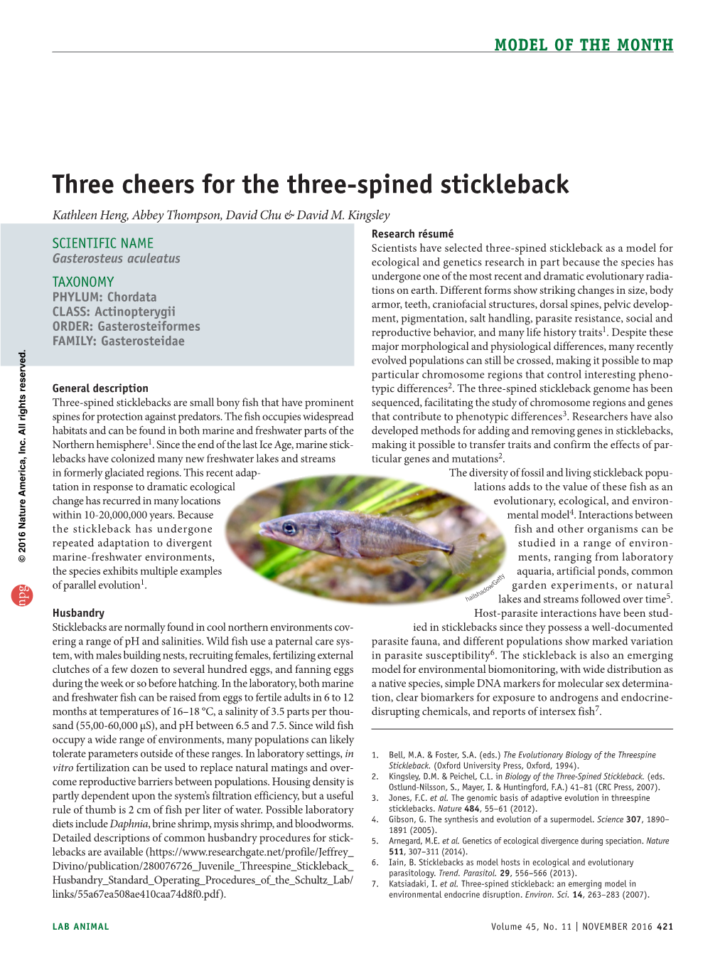 Three Cheers for the Three-Spined Stickleback Kathleen Heng, Abbey Thompson, David Chu & David M