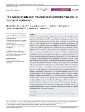 The Ovipositor Actuation Mechanism of a Parasitic Wasp and Its Functional Implications