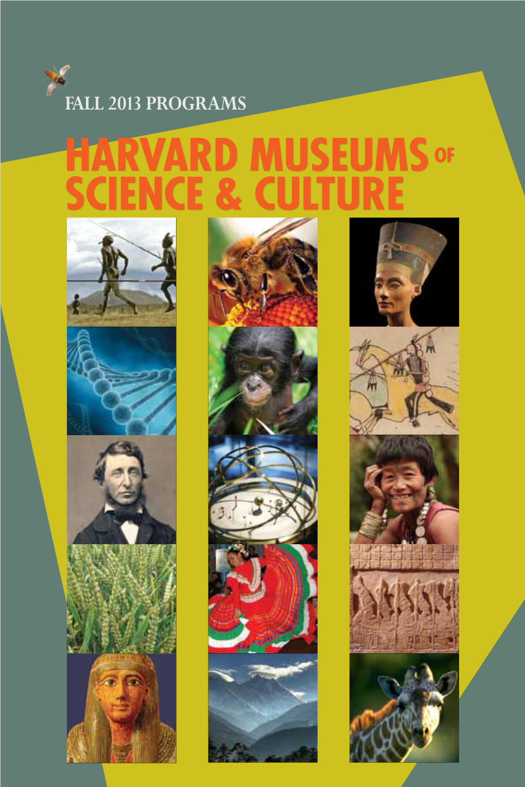 Harvard Museums of Science & Culture