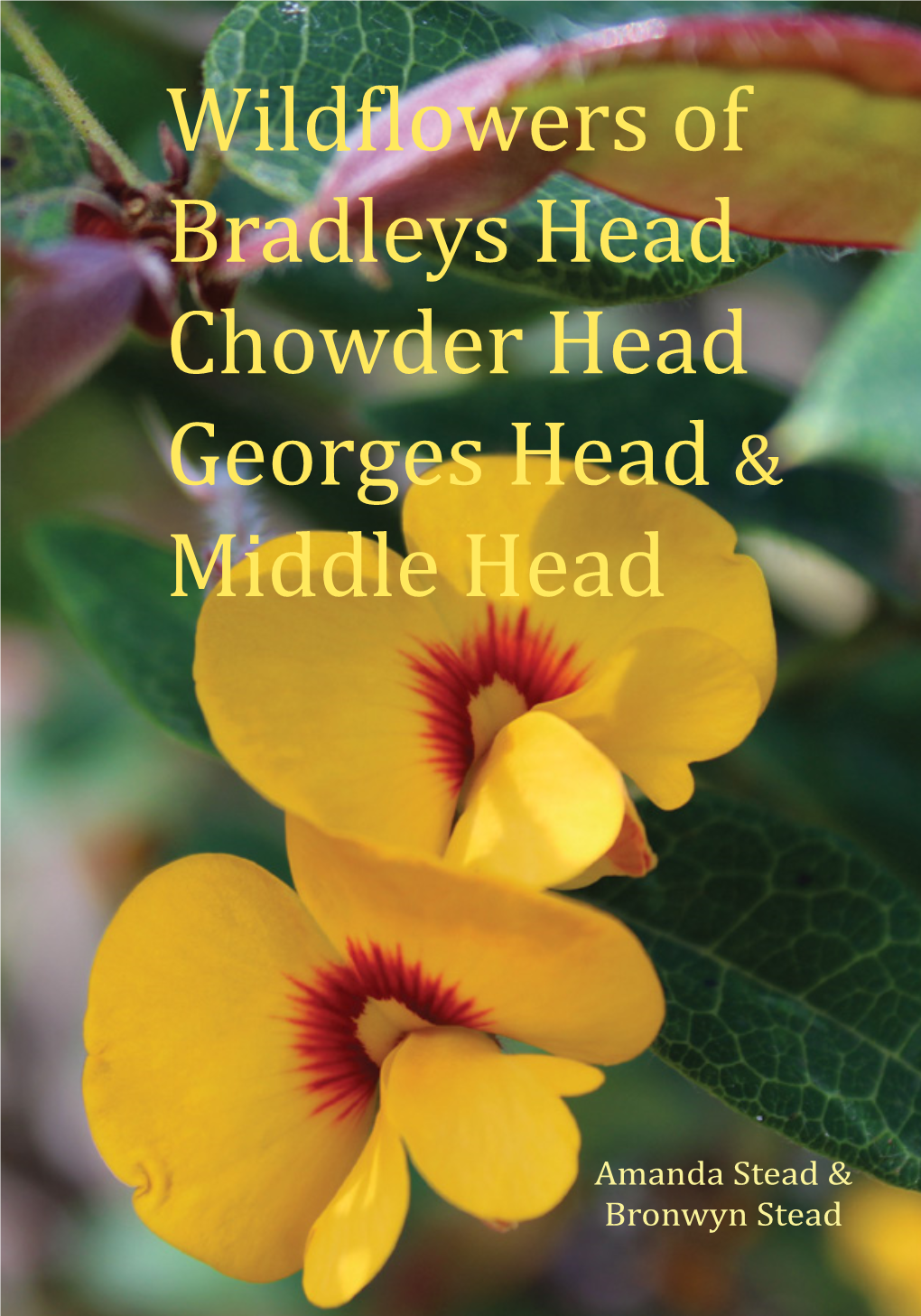 Wildflowers of Bradleys Head&