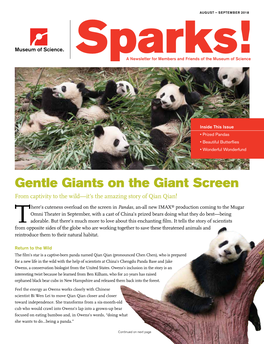 Gentle Giants on the Giant Screen from Captivity to the Wild—It’S the Amazing Story of Qian Qian!