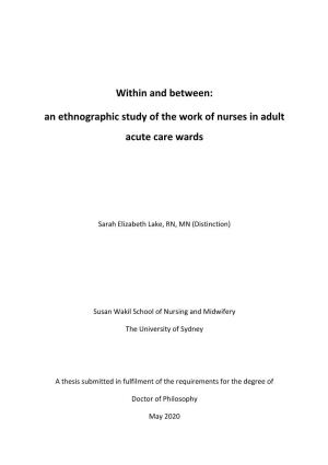 An Ethnographic Study of the Work of Nurses in Adult Acute Care Wards