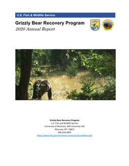 2020 Grizzly Bear Recovery Program Annual Report