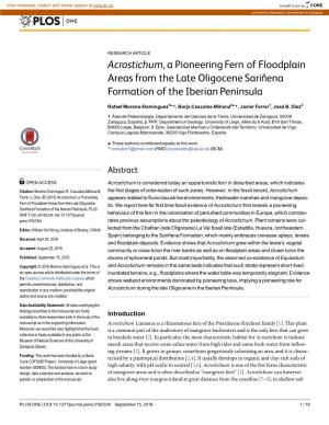 Acrostichum, a Pioneering Fern of Floodplain Areas from the Late Oligocene Sariñena Formation of the Iberian Peninsula
