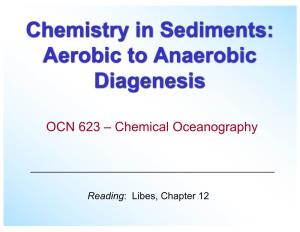 Chemistry in Sediments: Aerobic to Anaerobic Diagenesis
