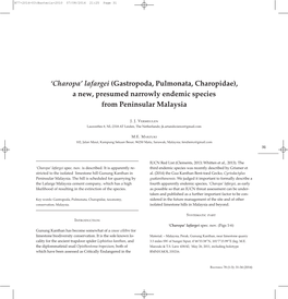 'Charopa' Lafargei (Gastropoda, Pulmonata, Charopidae), a New
