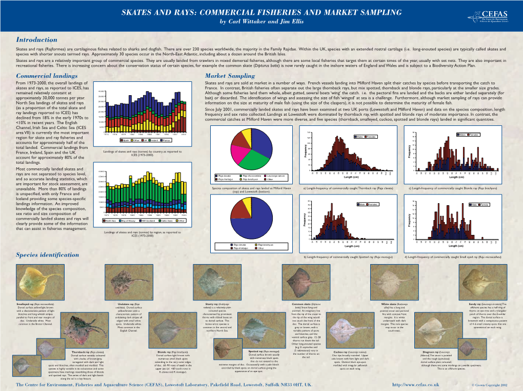 29409 Cefas Skates & Rays (Page 1)