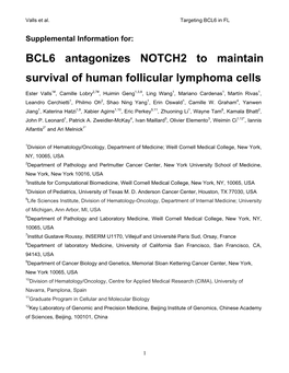 BCL6 Antagonizes NOTCH2 to Maintain Survival of Human Follicular