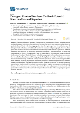 Detergent Plants of Northern Thailand: Potential Sources of Natural Saponins